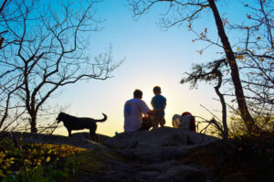 1654788922-6872-3-17-300x199