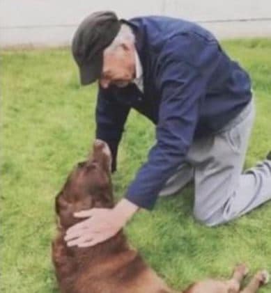 1671745505-5627-Say-His-Goodbye-To-Dying-Dog