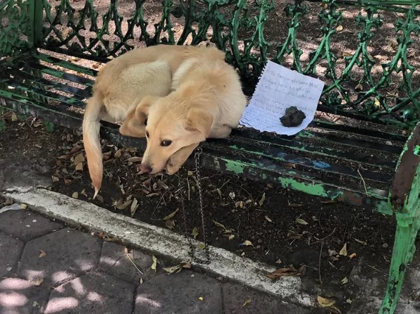 1673059384-1908-on-bench-with-note-rescued-1
