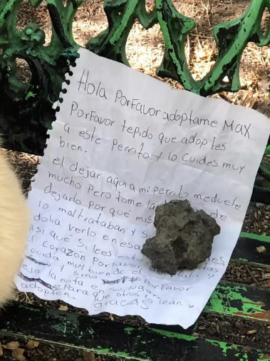 1673059384-2374-on-bench-with-note-rescued-2